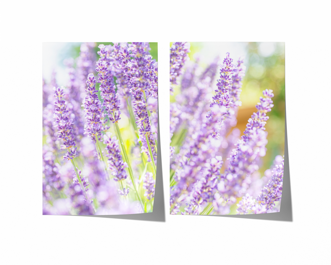 Purple Lavender Gallery Wall | Fine Art Photography Print Set