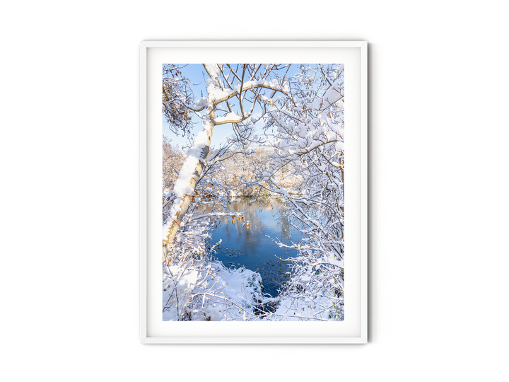 Winter by the Lake | Fine Art Photography Print