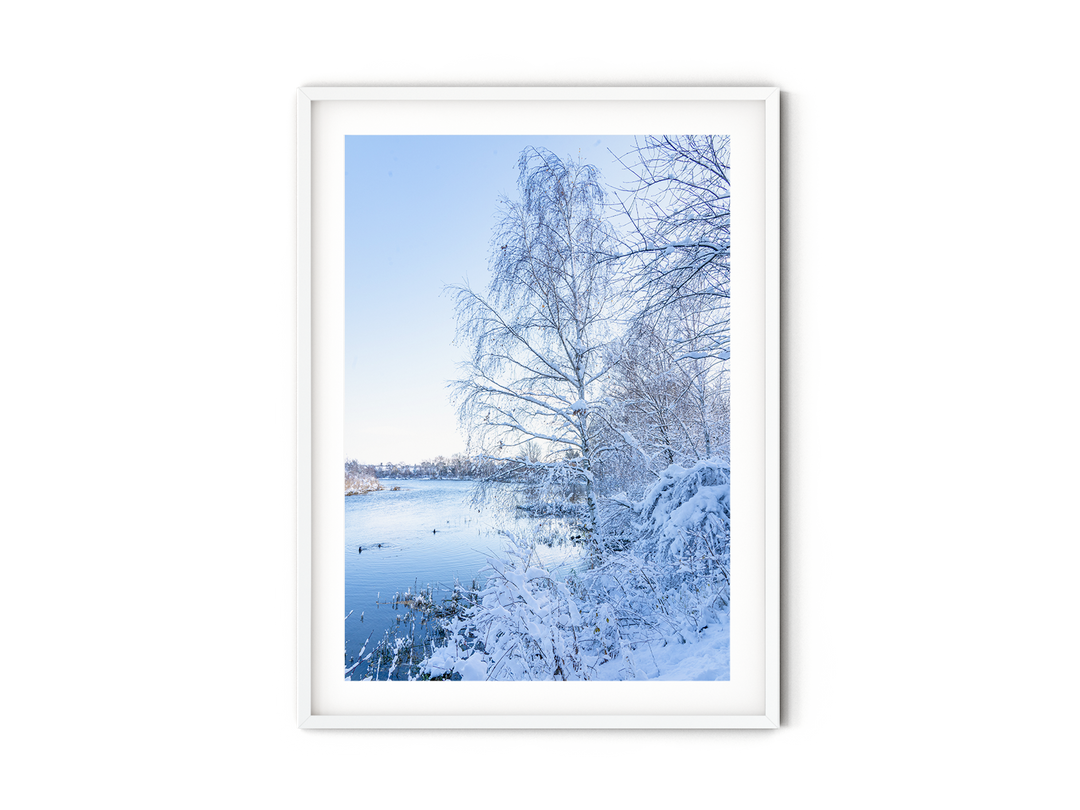 Frosty Landscape | Fine Art Photography Print