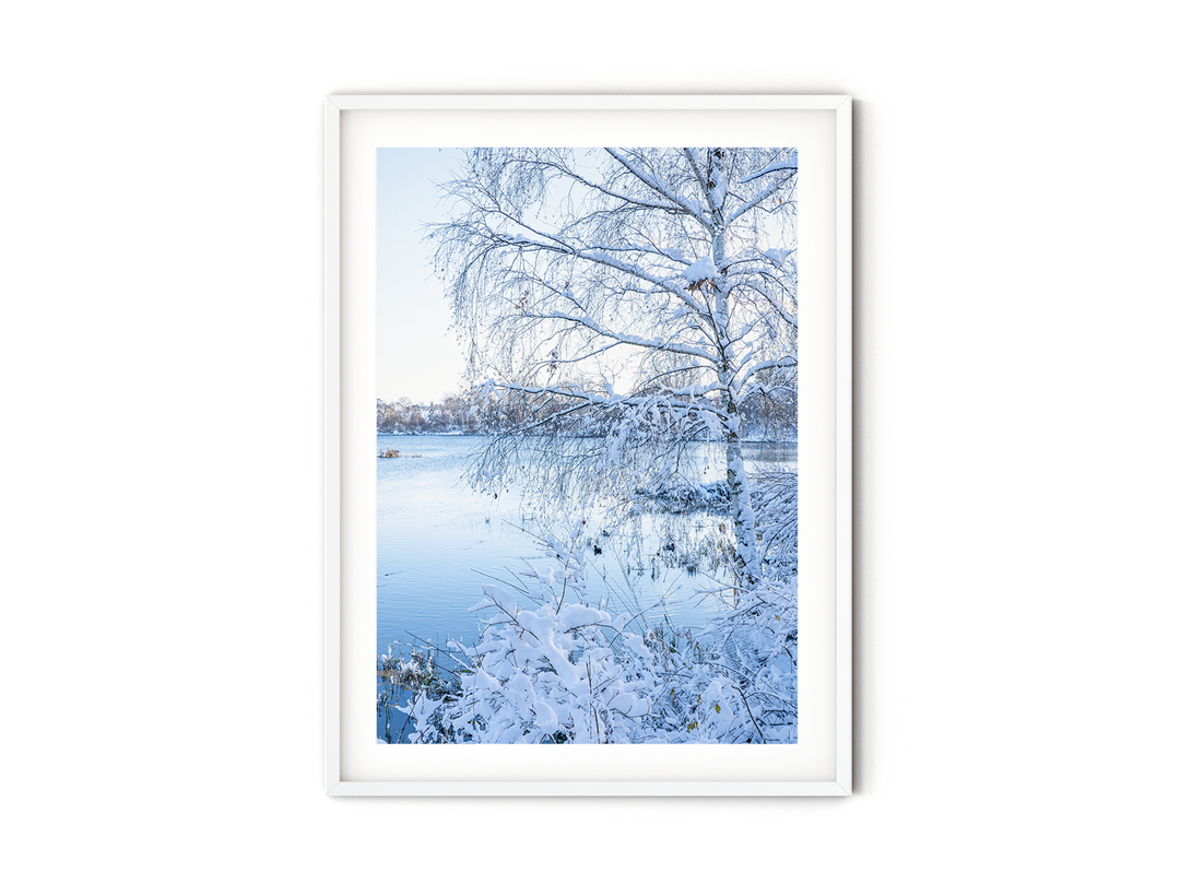 Winter Wonderland | Fine Art Photography Print