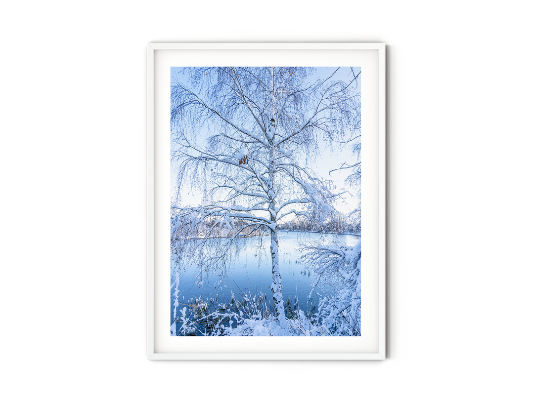 Frosty Tree | Fine Art Photography Print