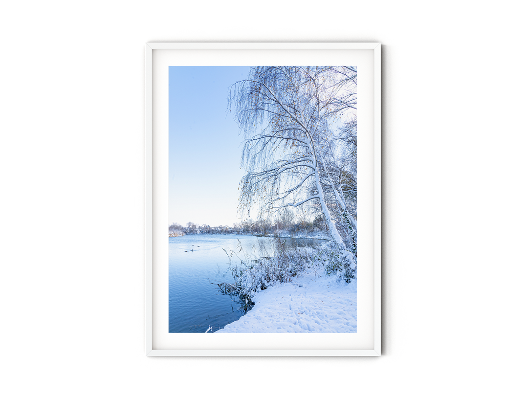 Winter Scenery | Fine Art Photography Print