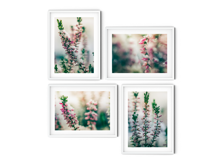 Frosted Flowers Gallery Wall | Fine Art Photography Print Set