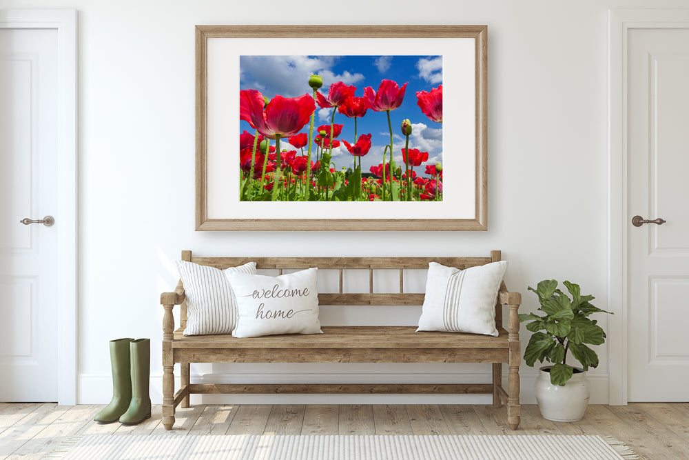 Red Poppy Flowers VIII | Fine Art Photography Print