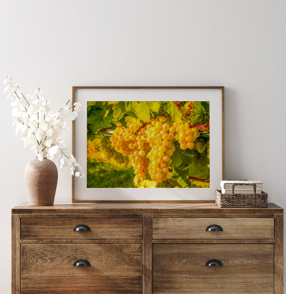 White Grapes | Fine Art Photography Print